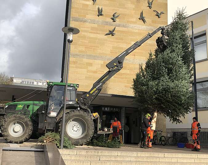 Ein grüner Traktor mit Greifarm. An diesem hängt eine Tanne unter der Männer in oranger Arbeitskleidung stehen.