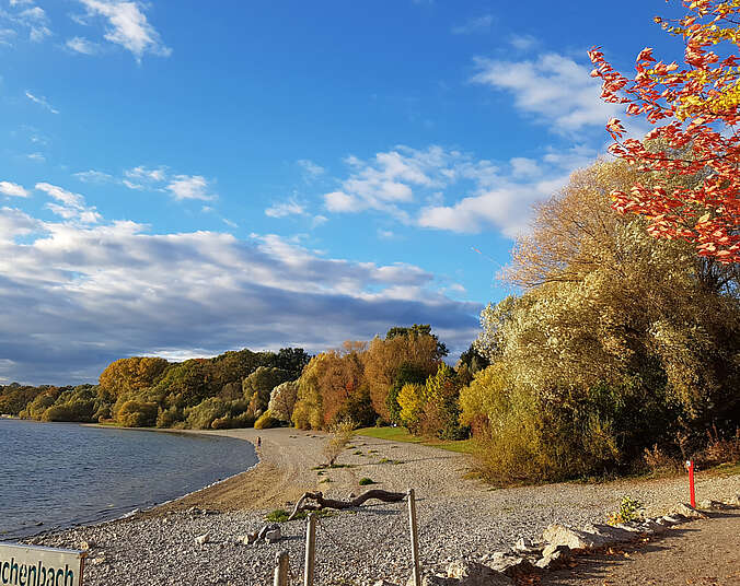 Teil des Bodensees mit Bäumen, dem Wanderweg im Vordergrund und Wolken am Himmel